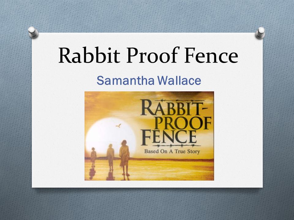 rabbit proof fence essay help